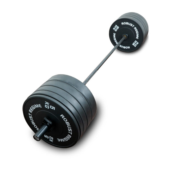 Robust Black Bumper Plate - Image 5